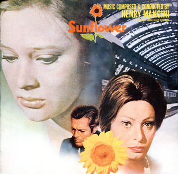 sunflower001.jpg